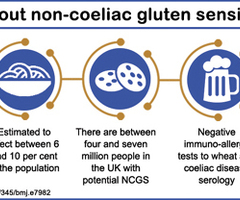 Image non celiac gluten sensitivity