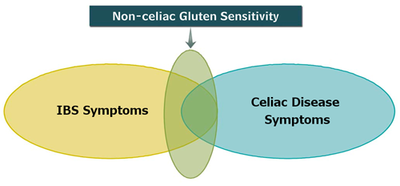 Non celiac gluten sensitivity vs ibs