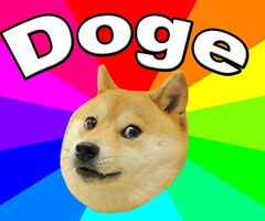 Doge