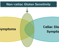 Non celiac gluten sensitivity vs ibs